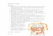 Digestive System - Amazon S3€¦  · Web viewDigestive System. Objectives. Identify the organs of the digestive system, list their major functions, describe the functional histology