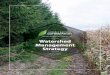 Watershed Management Strategy - Ausable Bayfield ...   Watershed Management Strategy assembled staff
