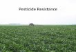 Pesticide Resistance - Iowa State University Pesticide... · • A biotype is the same organism, ... – The insect can clear it’s body of a toxin, ... • Pesticide resistance
