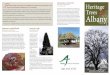 he Albany Heritage Tree Program was established to ... · he Albany Heritage Tree Program was established to recognize, foster appreciation of, and ... by David Blain. Blain was the