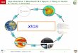 XIOS - PRACE Research Infrastructure · XIOS - INTRODUCTION XIOS is a ~7 years old software development XIOS 2.0 : ~ 90 000 code lines, ... NETCDF4-HDF5 layer ~ 4GB/s . XIOS TUTORIAL