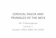 CERVICAL FASCIA AND TRIANGLES OF THE NECKanatomical- FASCIA...  CERVICAL FASCIA AND TRIANGLES OF