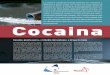 La cocaina è considerata la droga stimolante per ... · Da questo punto di vista fumare e iniettarsi cocaina è particolarmente pericoloso, ma anche sniffarla o ingerirla può avere