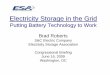 Energy Storage in the Grid - American Chemical Society · Electricity Storage in the Grid Putting Battery Technology to Work Brad Roberts S&C Electric Company Electricity Storage