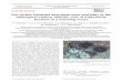 Sea urchin Diadema africanum mass mortality in the ... · 2 Mar Ecol Prog Ser 506: 1–14, 2014 INTRODUCTION In recent decades, mass mortality events resulting from disease have been