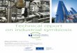 Technical report on industrial symbiosis - ubis.nu · economies as a means of approaching ecologically sustainable industrial development. Industrial symbiosis engages traditionally