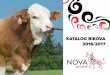 KATALOG BIKOVA 2016/2017 - Nova Genetik Kri¾evci d.o.o. Dragi prijatelji, pred nama je novi katalog