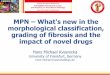 MPN What's new in the morphological classification ... · MPN –What's new in the morphological classification, grading of fibrosis and the impact of novel drugs ... b. leukocytosis