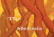 The Meiosis - WikispacesDance.pdf/... · “threads” are chromosomes containing the cell’s genetic material. The dynamic changes visible through a microscope occur as chromosomes