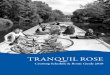 TRANQUIL ROSE · Welcome to our 2018 Cruising Schedule A warm welcome to old friends and new, as we look forward to our eighth year of operating Tranquil Rose, or TR