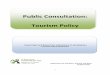 Public Consultation: Tourism Policy - Home | DTTAS ... · Public Consultation: Tourism Policy Issues Paper and Request for submissions on ... The tourism and hospitality industry