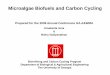 Microalgae Biofuels and Carbon Biofuels and Carbon...  Microalgae Biofuels and Carbon Cycling Prepared