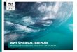 WWF GLOBAL MARINE TURTLE STRATEGYd2ouvy59p0dg6k.cloudfront.net/downloads/wwf_cetaceans_sap_2012... · WWF GLOBAL MARINE TURTLE STRATEGY 2012-2020 ... DEVELOpING THE OBjEcTIVES OF