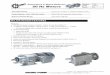 Gearmotors & Speed Reducers 50 Hz Motors Issue B Gear ...vp.salesmrc.com/pdfs/Sec_617.pdf · •A Unit o IDE Corporation Cedar Falls IA 2017 Section 617 Page 617.3 Issue B Gearmotors
