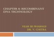 CHAPTER 6: RECOMBINANT DNA TECHNOLOGY · What is rDNA ? Recombinant DNA is genetically engineered DNA prepared by transplanting or splicing genes from one species into the cells of