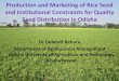 Production and Marketing of Rice Seed and Institutional ... · Production and Marketing of Rice Seed and Institutional Constraints for Quality Seed Distribution in Odisha Dr Debdutt