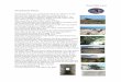 Word Pro - atlantik wall Part 5.pdf · are buried are rediscovered, that this site is largest on the Atlantik Wall in Normandy. The sheer size of the site posses many questions as