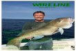 Print Newsletter Project - Norfolk Anglers Club 2016.pdf · What's Inside Fishing Tips: Eeling and Reeling with Captain Max King Fishing Reports: - Speckled Trout, Rockfish, Puppy
