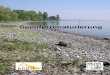 Seeuferrenaturierung · Einrichtung einer Schilfpflanzung am Gr. Plöner See, die durch Palisaden und einen Zaun geschützt wird 