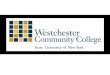 Westchester Community College - SUNY Systemsystem.suny.edu/media/suny/content-assets/documents/healthaffairs/... · Banning smoking/designated areas on campus ... • Encouraged all