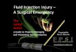Fluid Injection Injury – A Surgical Emergency · Fluid Injection Injury – A Surgical Emergency . The . Lethal . Strike! ... release of hydraulic energy, there are no safety design