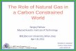 The Role of Natural Gas in a Carbon Constrained World€¦ · The Role of Natural Gas in a Carbon Constrained World Sergey Paltsev Massachusetts Institute of Technology IEFE, Bocconi
