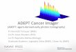ADEPT Cancer Imager - Illinois Institute of Technology · ADEPT Cancer Imager Medical Imaging Inverse Problems Molecular Imaging Optical Engineering Cancer Biology Drug Development