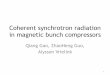 Coherent Synchrotron Radiation - conf-slac.stanford.edu · Outline • Magnetic bunch compressor • Coherent synchrotron radiation (CSR) – Background – Theory • Effects on