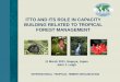 ITTO AND ITS ROLE IN CAPACITY BUILDING RELATED TO TROPICAL …satoyama-initiative.org/wp-content/uploads/2014/08/20-ITTO_New-4.pdf · international tropical timber organization itto