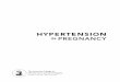 Hypertension In Pregnancy - SPOG€¦ · v Task Force on Hypertension in Pregnancy James M. Roberts, MD, Chair Investigator Magee-Womens Research Institute Professor, Department of
