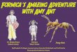 Dr. Sheila Grant Formica Amy Ant (Mica’s mom) “Mica” Grants Amazing Adventure.pdf · Smithsonian Entomologist Dr. Sheila Grant (mother): Now dear, I expect you to be on your