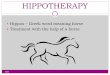 HIPPOTHERAPY - Mercer County Community behrensb/documents/   therapeutic exercises