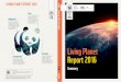 LIVING PLANET REPORT 2016 - Earth Hour … · WWF Living Planet Report 2016 page 4 Summary page 5 LIVING ON THE EDGE The evidence has never been stronger and our understanding never