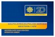SOUTH AFRICAN POLICE SERVICE WESTERN CAPEpmg-assets.s3-website-eu-west-1.amazonaws.com/150819GangStrate… · south african police service western cape western cape gang strategy