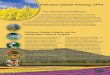 Pollinator Habitat Initiative and the Conservation … · Pollinator Habitat Planting: CP42 The Importance of Pollinators Agricultural productivity is directly dependent on pollinators,