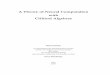 A Theory of Neural Computation with Clifford Algebras · A Theory of Neural Computation with Clifford Algebras ... including the linear computation of Mo¨bius ... 6.2 General Clifford–Valued
