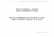 NATURAL GAS INFORMATION DOCUMENTATION FOR BEYOND 2020 …wds.iea.org/wds/pdf/NaturalGas_Information_2013... · 2013-04-19 · INFORMATION DOCUMENTATION FOR BEYOND 2020 FILES . 