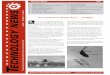 It’s a bird, it’s a plane, it’s a . . . bridge? · TECHNOLOGY NEWS 2 FEB–MAR 1999 The preparation of this newsletter was financed through the Local Technical Assistance Program