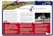 A Show Hunter Ist - Pony Tales Riding School · Reel NZ Productions Winter Showhunter Series 2012 kicks off with its Ist of three shows at Pony Tales on Sunday 24th June. ... a pony