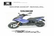 WORKSHOP MANUAL - Scootergrisen.dk - Boardindeks · CHARACTERISTICS 3 Reproduction or translation, even partial, is forbidden without the written consent of Peugeot Motocycles CHARACTERISTICS