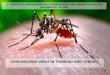 CHIKUNGUNYA VIRUS IN TRINIDAD AND TOBAGOcarpha.org/Portals/0/docs/MEETINGS/Epid_LabDir/Ramkisson... · CHIKUNGUNYA VIRUS IN TRINIDAD AND TOBAGO . 12. th. ... The Dengue-IMS aims to