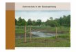 Bodenschutz in der Baubegleitung - bwk-nrw.de · 3 Bodenschutz in der Baubegleitung – Andreas Lehmann – Universität Hohenheim, LANGE GbR - BWK-Bezirksgruppe - 11.Juli 2013 -