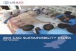 The 2015 CSO Sustainability Index for Pakistan · the 2015 cso sustainability index for pakistan i introduction