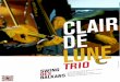 Clair de Lune trio · découverte de Django Reinhardt et Stéphane Grappelli, l’apprentissage de mélodies traditionnelles des Balkans. Ils commencent à partager leur passion pour