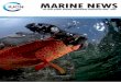 GMP News Issue 5 100509 - International Union for ... · GMP NEWS MARINE NEWS Issue 6, ... Back issues of GMP News are available at: ... IUCN has developed a list of ten principles