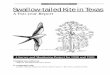Swallow-tailed Kite in Texas · A total of 1,240 kite sightings were reported through this two-year project. In no way does this imply that 1,240 individuals exist in Texas