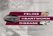 Feline Heartworm Disease Roundtable - IDEXX€¦ · Feline heartworm disease does exist and ... and the anticipated launch of the new SNAP® Feline Triple Test, several veterinary