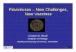 Flaviviruses – New Challenges, New Vaccineslibrary.corporate-ir.net/library/18/188/188611/items/218011/RD DAY... · Flaviviruses – New Challenges, New Vaccines. v rologie, 