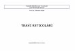 Travi reticolari - PCIprofzanghi.weebly.com/uploads/9/0/0/4/9004706/travi_reticolari.pdf · Risoluzione con il metodo analitico Calcolo delle reazioni vincolari esterne Per la stabilità