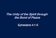 The Unity of the Spirit through the Bond of Peace · Unity of Doctrine The Unity of the Spirit through the Bond of Peace